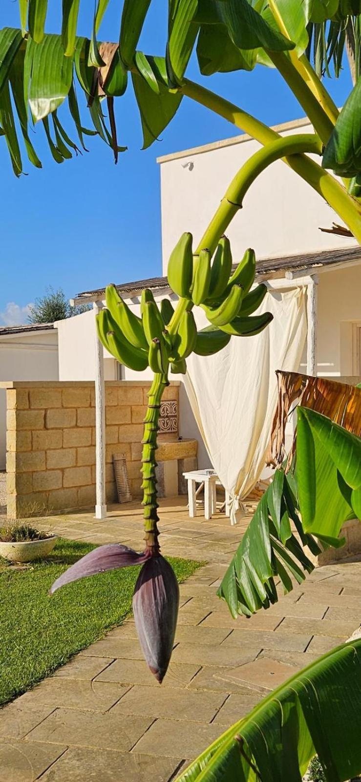 Tenuta Puloni Otranto Zewnętrze zdjęcie